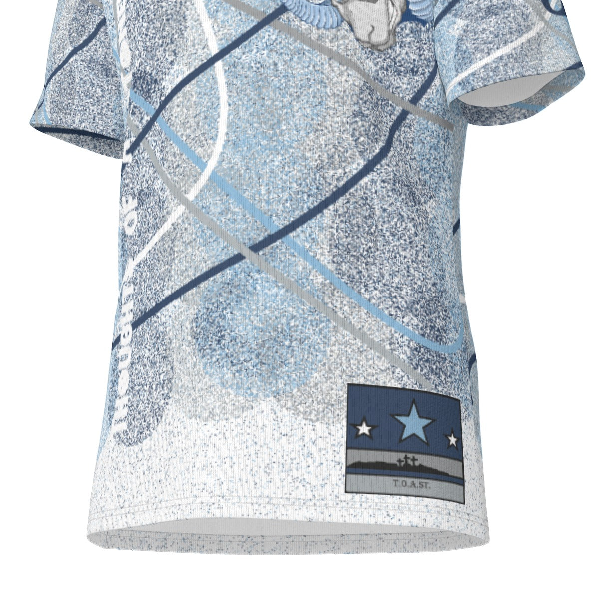 T.O.A.ST. "Spray Paint Tarheels"